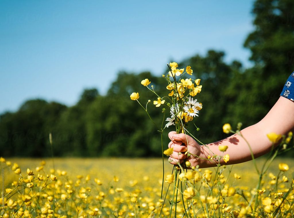 Wild Flower Picking Activity