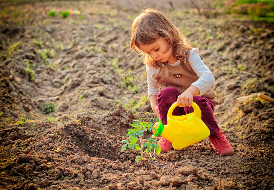 Kids Gardening in Summer